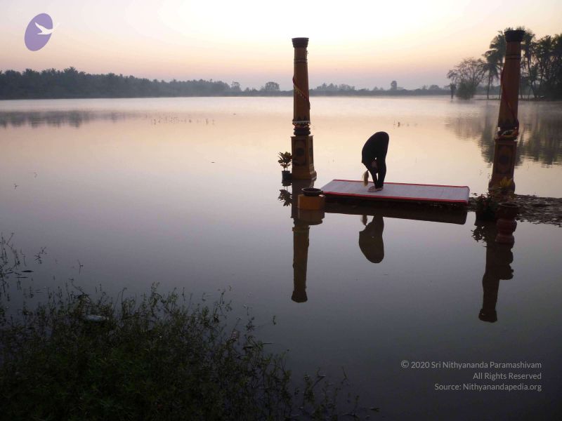 File:20100206 Photo 98 1IscUyGTMMmve0J TVCePfWkjNFM4Q1ku.jpg