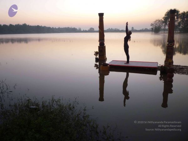 20100206 Photo 99 1KyXH3dAR2T2k cUpOkHxD4J4EtHx6flY.jpg