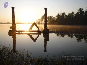 20100206 Photo 9 1fn26BsRJIzs2fLq C5 oBko2n9h05229.jpg