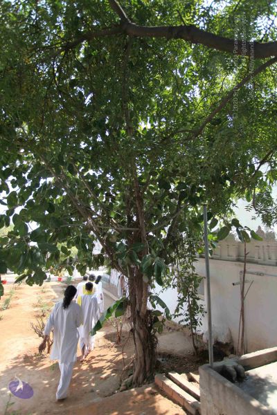 File:20100208 Photo 1022 1jtY-P1980T4F7ONn3LCav8iCQOAmlUDY.JPG