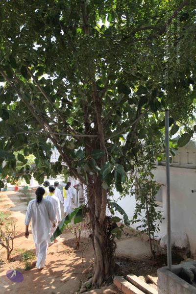 File:20100208 Photo 1023 1R5NPd2ZAOPaN9SjhmGjRZMR1FeIPqjqs.JPG