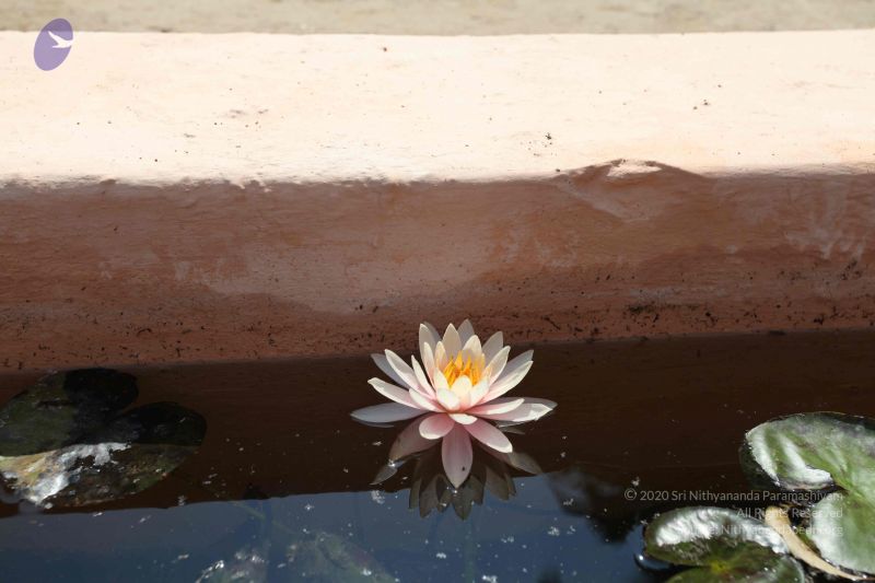 File:20100208 Photo 1028 1OV-i3-96GHGS0PXO3CdQ5GczW-l1u0EB.JPG