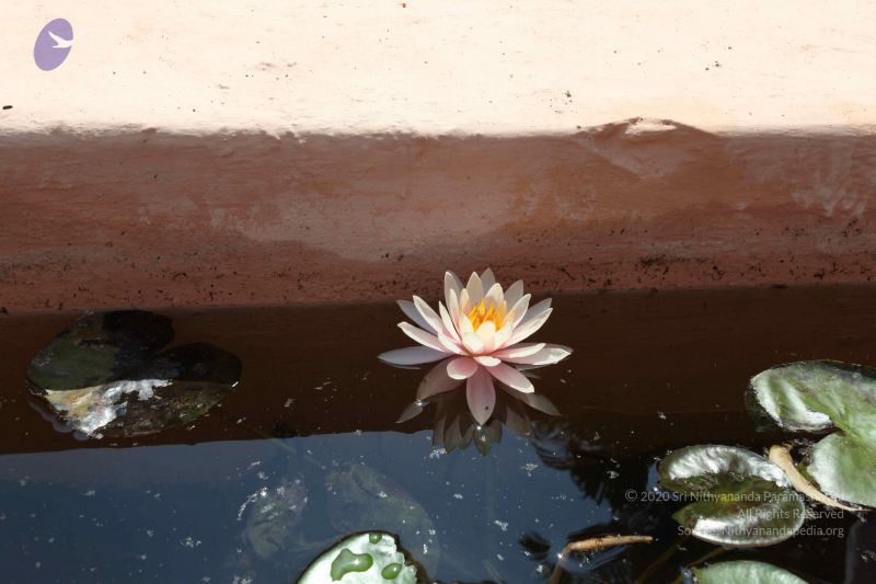 File:20100208 Photo 1029 1 buOz4-oKxwp3YvzuKE3fPRv vtXPwEn.JPG