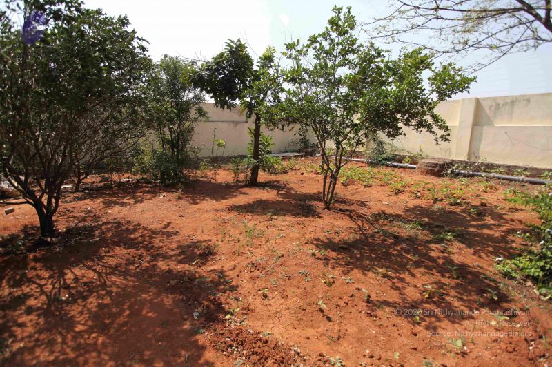 File:20100208 Photo 1086 13 -JuNArQeTVyUVeHH51fL9QrCdM9OEQ.JPG