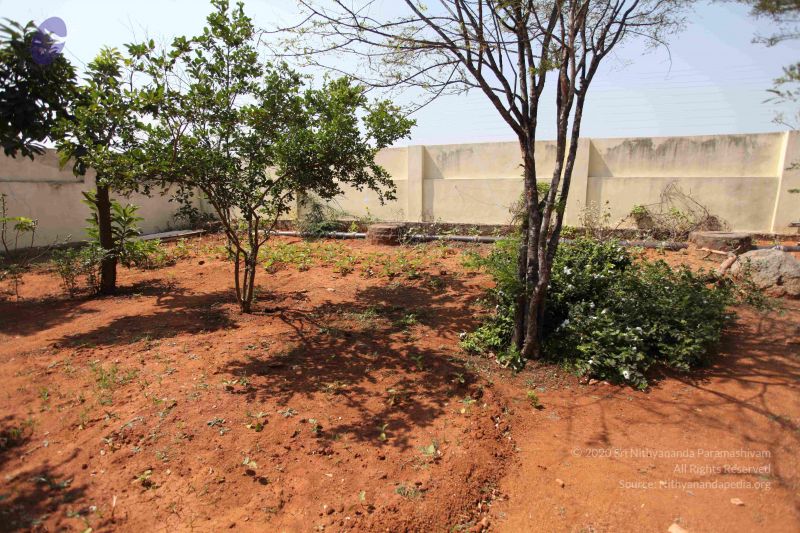 File:20100208 Photo 1087 1iG3acSNZtf5sMcXgzio4fM0i0jJ8GaOd.JPG