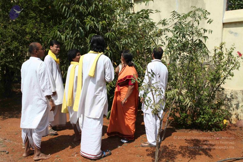 File:20100208 Photo 1089 18qHQx99-3q36FwxFpSGEWDwr1-oTeuQ3.JPG