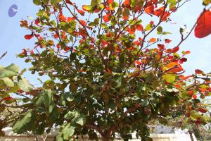 20100208 Photo 1098 1fiXK18m656VKNW7JH4bOVhYIPreft8Ji.JPG