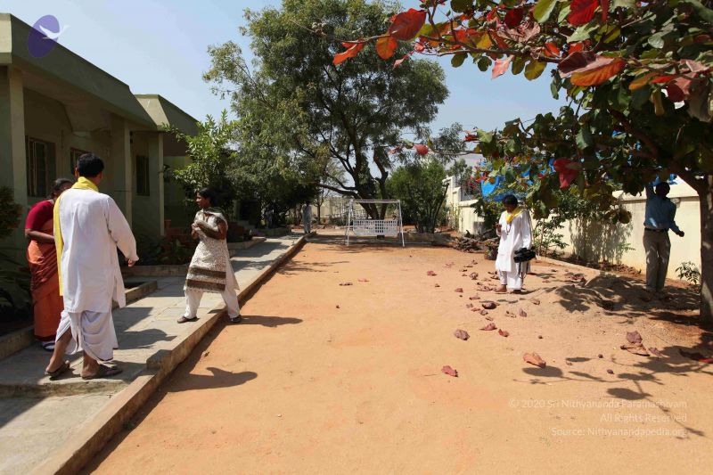 File:20100208 Photo 1101 1ly1YyLZFldsYhs6 jHyRyDp0ZRWmtCOx.JPG