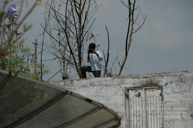 File:20100605 Photo 1001 1juZjC48r8juGLV1OjTaZ9FbuAvWEfLMb.JPG