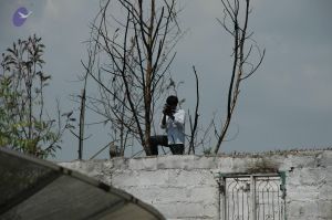 20100605 Photo 1002 1gTC1m3hTEWv9x3lWKhi48bFZaOo01nva.JPG