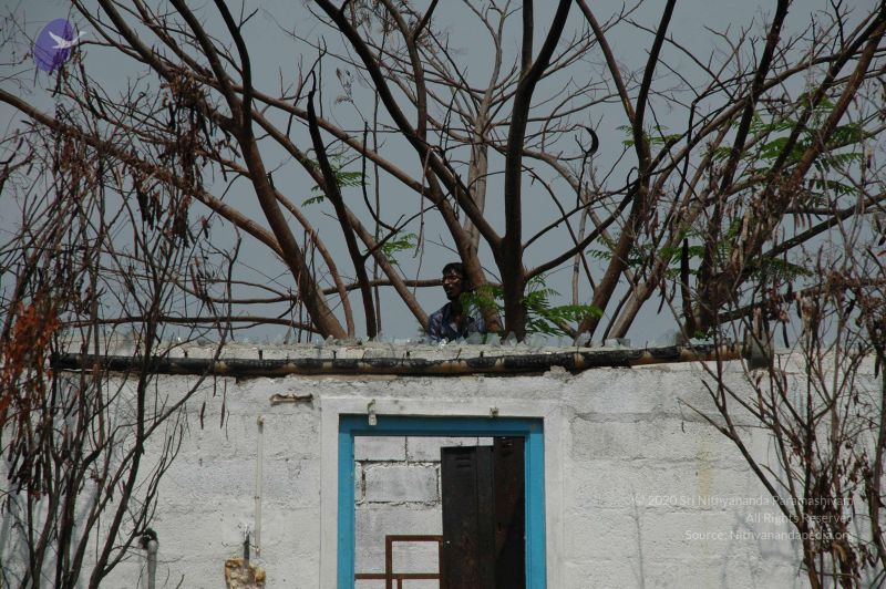 File:20100605 Photo 1005 1dUdJHE3pI-y9CGxI3gXWVSQNgVCZvutZ.JPG