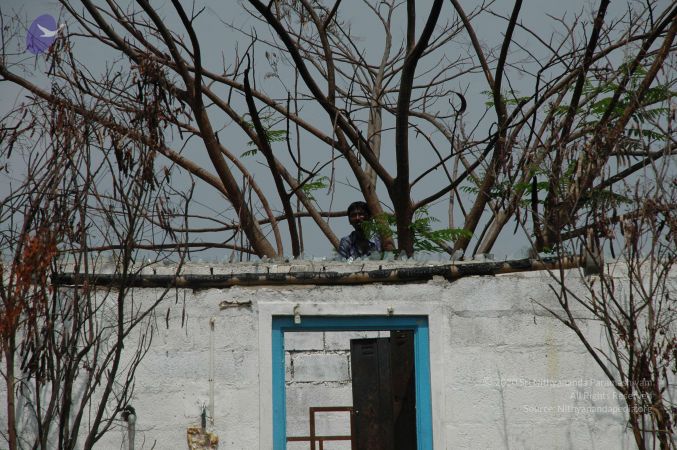 20100605 Photo 1006 1a-ZMsVre0oQiuPVaBSxTZcx5ZaYCK03Q.JPG