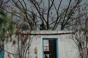 20100605 Photo 1008 1DHgbDPr4sN4uysfxMdvF8f2IgfOdDdvJ.JPG