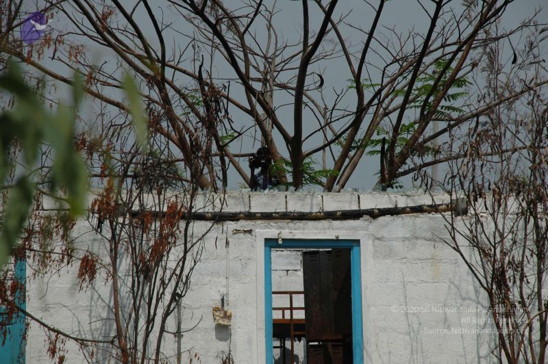 File:20100605 Photo 1008 1DHgbDPr4sN4uysfxMdvF8f2IgfOdDdvJ.JPG