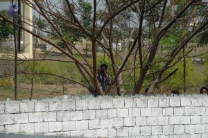 20100605 Photo 1010 1YN5M qKkQziiPdEBgLOtCD3bm2hy-jiC.JPG