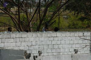 20100605 Photo 1015 1ofkxzlw-Fl8LM2MnvIEFWGMLZeJSJI9B.JPG