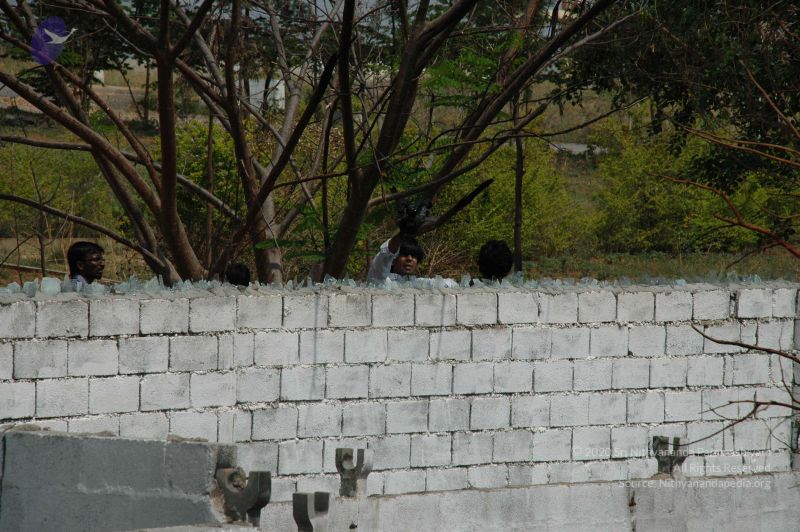 File:20100605 Photo 1015 1ofkxzlw-Fl8LM2MnvIEFWGMLZeJSJI9B.JPG