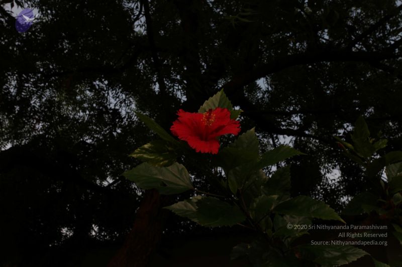 File:20100605 Photo 1034 1WOuPljbQPJUvTlpvZzBUqcu0sSTyruY5.JPG