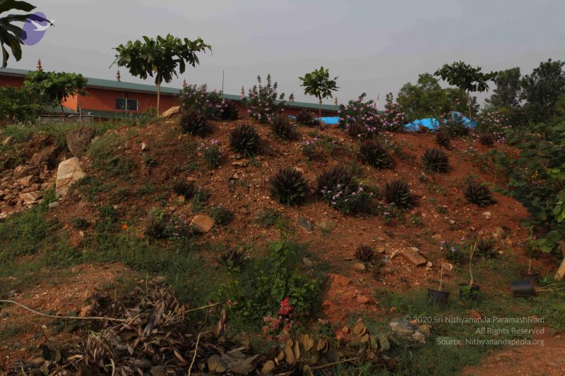 File:20100605 Photo 1036 1X2VxV5a0e8HZi5dpar4dAY44fQo-LZhD.JPG