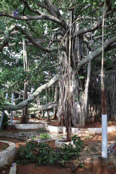 File:20100605 Photo 1044 1fuZnEhk2d-jVzBxr6D03wHlX00CL4kG .JPG