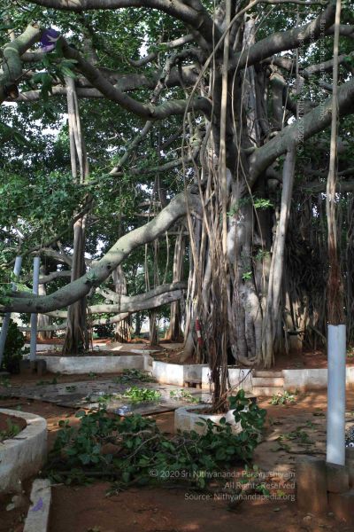 File:20100605 Photo 1045 1rNfmva0f9RzwnIEpuS09Folv2gTwpaFV.JPG