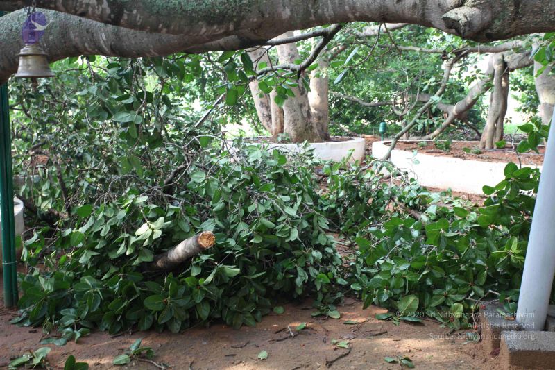 File:20100605 Photo 1051 1ujinycy5OU47GkHPSsogYqNPeFkwp0Q .JPG