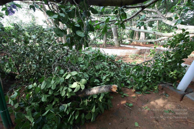 File:20100605 Photo 1052 11IQego66OOmNN0lTpJiYAHKJeT4Ez5nb.JPG