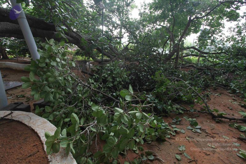 File:20100605 Photo 1055 1m5h3NRawT0j6KZ3MS2YCIFUcq-e-z2hW.JPG