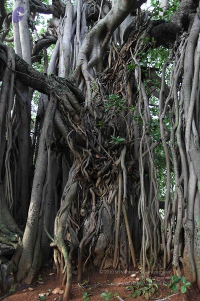 File:20100605 Photo 1062 1IDwygAjB6gtG8RGz1JphoLUjBR0U0kVE.JPG