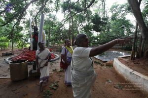 20100605 Photo 1063 1CMaxn yCNGjvg-KD7ibTJPW sQ sJT1B.JPG