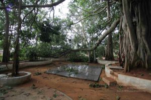 20100605 Photo 1065 10mZ1TC5l9hFmgZrH8lhK3ldpX2lc3NqR.JPG