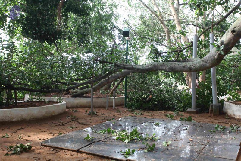 File:20100605 Photo 1066 1X6JIeExaowbP68H00DWBYOQRKVW6Z1VV.JPG