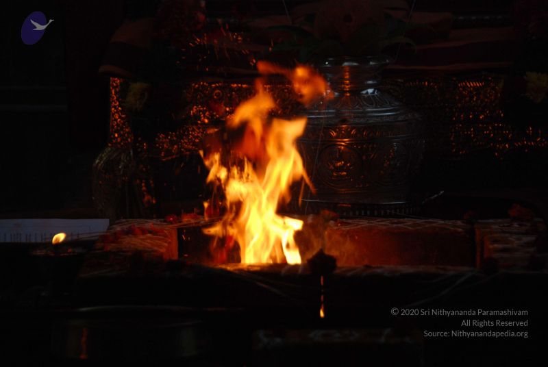 File:20100606 Photo 1069 1OLERDwJTSBOSNWAdrVSR3b8eEBbw Cd7.JPG