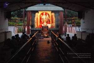 20100606 Photo 1077 1xWsXWp0vxONMpPawsII83feZBHYg6tyz.JPG