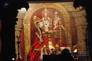 20100606 Photo 1101 1EaC-thN2w9Bh0MHHg-MPuBXY6BWTOm14.JPG