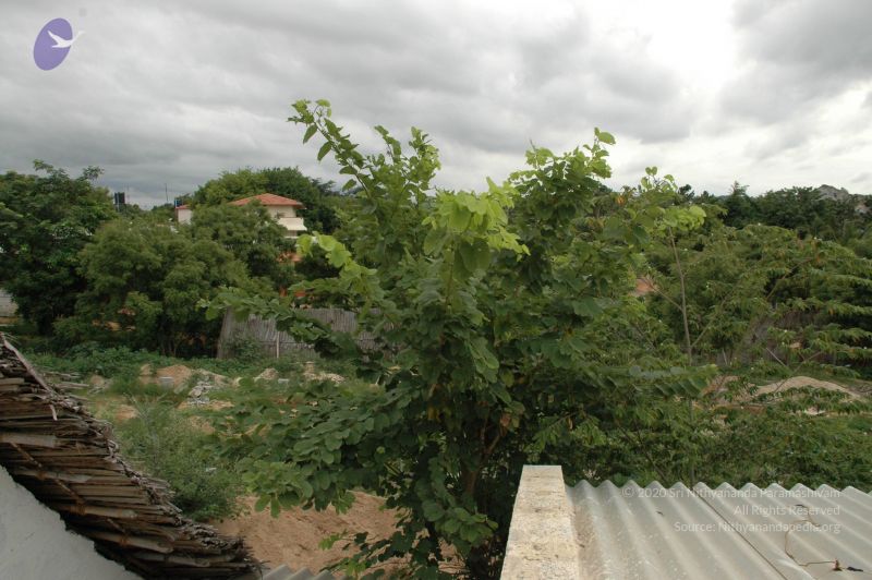 File:20100611 Photo 1004 1VuARZGgRVNW4HFB0Z51 czzDhU9TITxf.JPG