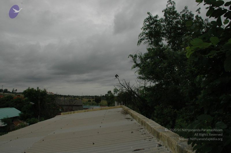 File:20100611 Photo 1005 14vh Y-pB50B0z6oom3mHhaBUmRst8V0Y.JPG