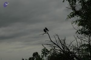 20100611 Photo 1006 14RJIQuhUtJugq5E3aOdMNHZMhSEuI3bo.JPG