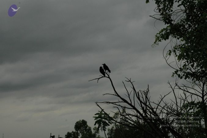 20100611 Photo 1007 1p13RR-KYKC0VV7VzZn5xhMI QzpZG3tU.JPG