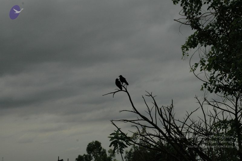 File:20100611 Photo 1008 1XP69zclTqvN 2cg6t1tx09ZpcPFUi9AS.JPG