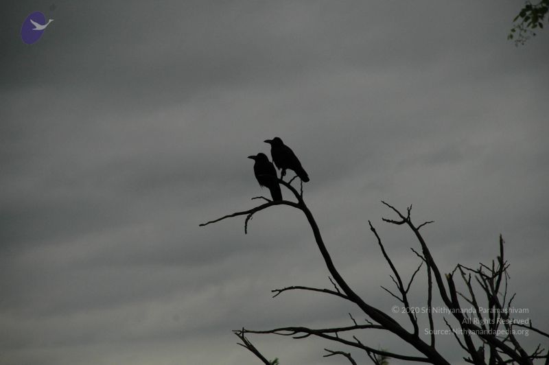 File:20100611 Photo 1010 18EGg9ixmDsNIYr wsKcJEiR0EYXPRZb-.JPG