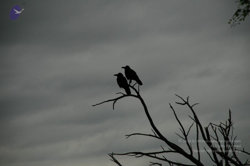 File:20100611 Photo 1012 1MeGWDyaBO3qJwSa1Bv 8mt0hY 5ssw5f.JPG