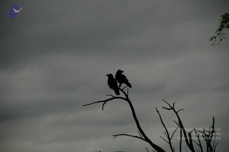 File:20100611 Photo 1015 1n4ON4Qto bLDMeNZm2kPLkhYTgjXS4EX.JPG