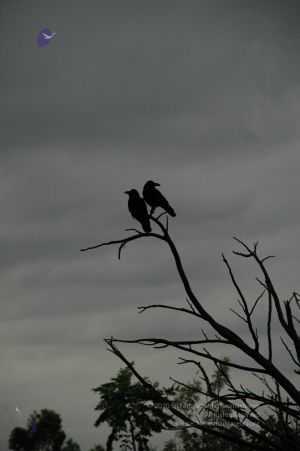 20100611 Photo 1018 1OM9F1KwtdJaqF9mU8K394ShzBn8olHZA.JPG