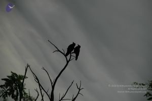 20100611 Photo 1019 1ughnDz-uj 3zW rcf PQ1EkFO3Eo-WlK.JPG