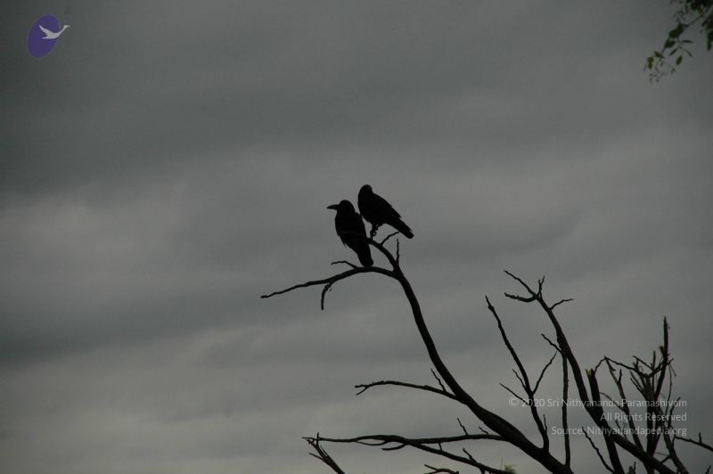 File:20100611 Photo 1020 1dje7Pl2o BOfW3uMQllwGDHb9Ydc5X-T.JPG