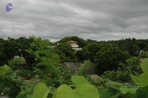 20100611 Photo 1023 1LNqWI4bTxuWo7bqt7Y1XfIrx5ja5RLWJ.JPG