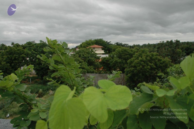 File:20100611 Photo 1024 1TWPW41BRARfOX8BEkqtQJYfCNARWVfEK.JPG