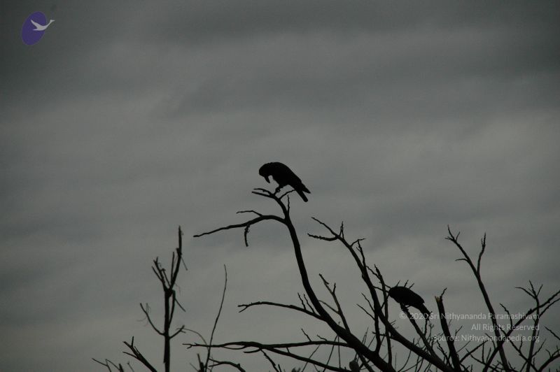 File:20100611 Photo 1025 11GFFR9T 1VD7pY6xAcSyNOqTDj1BMM5u.JPG