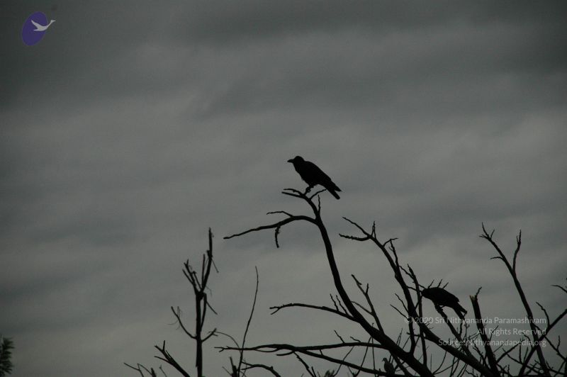 File:20100611 Photo 1026 11o5kM-ssgwrhMOVBm0w-rpI1cWtC99cb.JPG